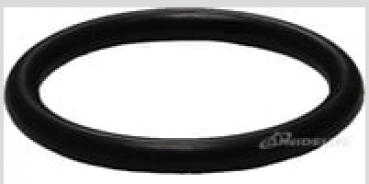 PP 25 O-Ring-Dichtung aus NBR