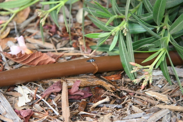 XFD Tropfrohr, Tropferabstand 33 cm, Durchflussmenge 2,3 l/h, 100 m Rolle